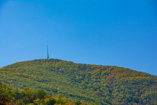 istock A tower on top of a mountain. Dense forest and a tower 2239936363