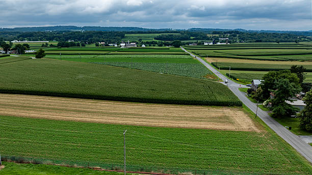 istock Expansive Farmland Landscape With Green Fields Under a Cloudy Sky in Rural America 2239936953