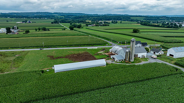istock Rural Landscape Featuring a Farm Surrounded by Lush Fields and Cloudy Skies in Summer 2239937087