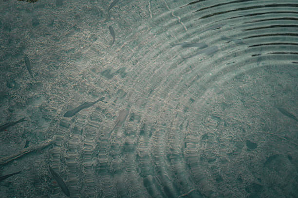 Vawes on the water surface