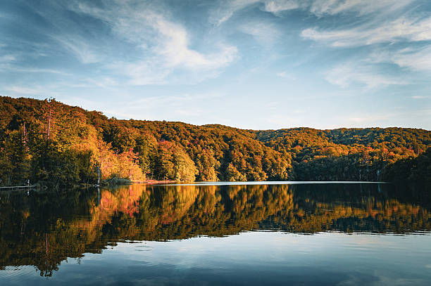 istock autumn forest near the lake 2239937660