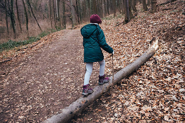 Child balances on a fallen log along a forest trail in autumn, holding a stick while hiking through leaves and trees, back view