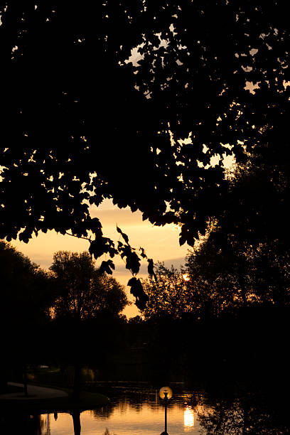 Dramatic sunset scene in a public park with vibrant sky colors reflected on a calm lake. Trees in silhouette frame the composition, blending natural elements with structured depth.