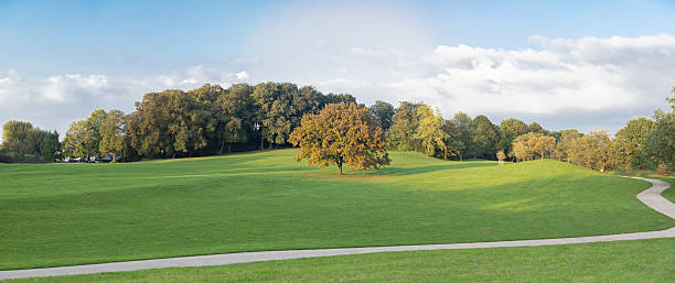 Wide view of Olympia Park with open grass field, curved walking path, and a single tree in warm natural light. Natural landscape with structured layout and space for copy.