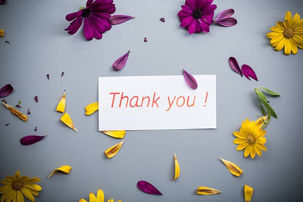 Petals and bright flowers on gray background.