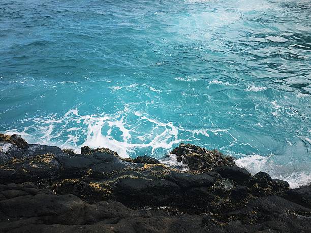 Processed with VSCO with c1 preset