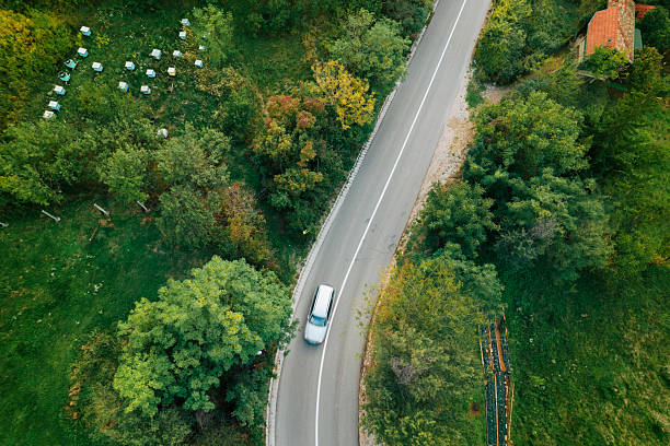 istock Car driving curvy road with beehives in green forest 2239943113