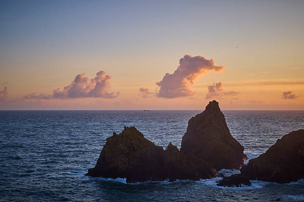 The dynamic and beautiful nature of Amami Oshima