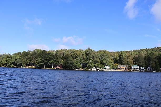 istock Landscape View of Canada Lake 2239954136