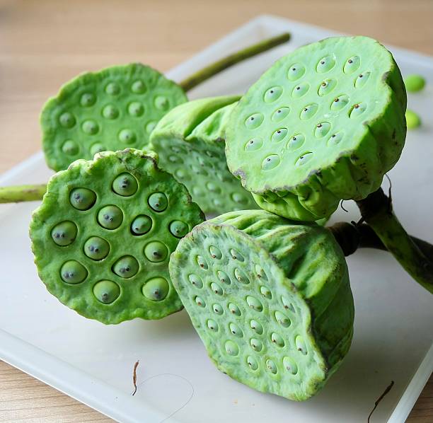 Lotus flower and Lotus flower plants