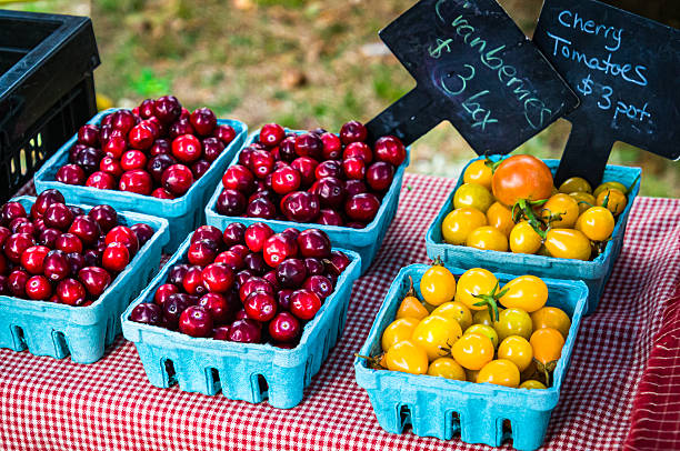 istock Cherry Tomatoes and Cranberry Boxes and 2239959414