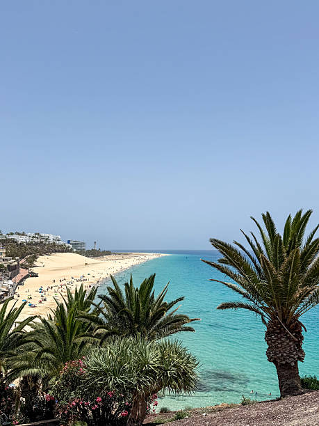 istock Morro Jable beach, Fuerteventura 2239962157