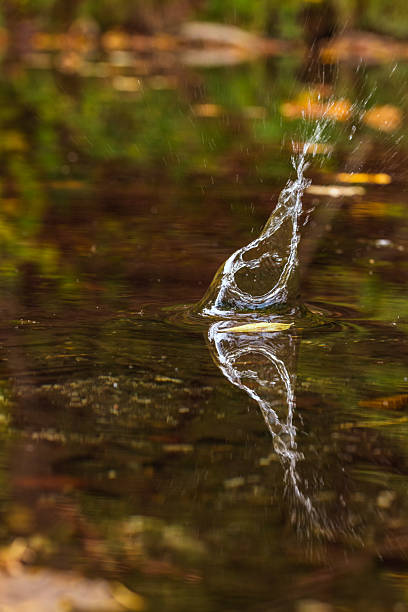 Autumn landscape with splashing water on crystal clear lake.
