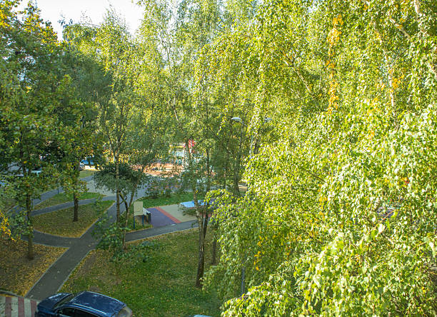 istock Green courtyard with winding paths and outdoor table tennis top view 2239963799