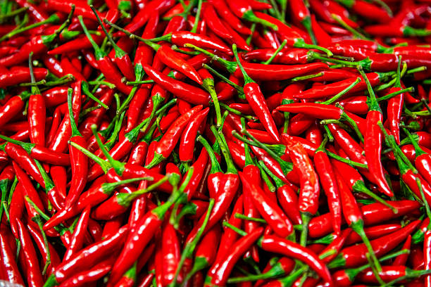 Full frame of large group of red chilli peppers