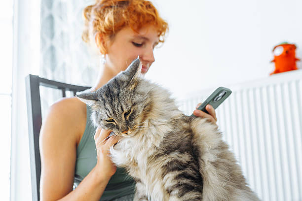 istock young woman spends time with her pet cat 2239963875