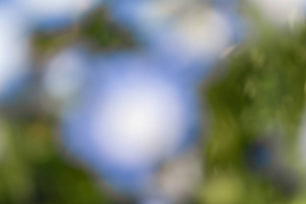 An abstract blurred background of soft green and blue tones, evoking calmness and serenity with a natural feel.
