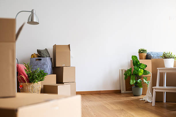 istock Cardboard boxes, plants, and home decor in a bright room during a move. Cozy interior with wooden floor, lamp, and unpacked items creating a warm and fresh atmosphere of a new beginning 2239966177