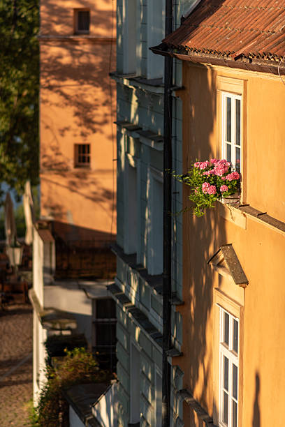 Warm sunlight on a building facade with pink flowers in a window box in Prague, Czech Republic on 9 July 2024