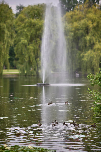 istock Serene Park Fountain with Ducks 2239969471