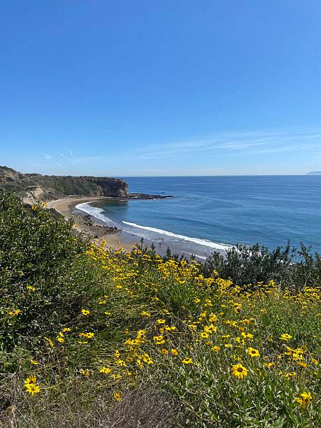 istock Ocean views in California 2239970213