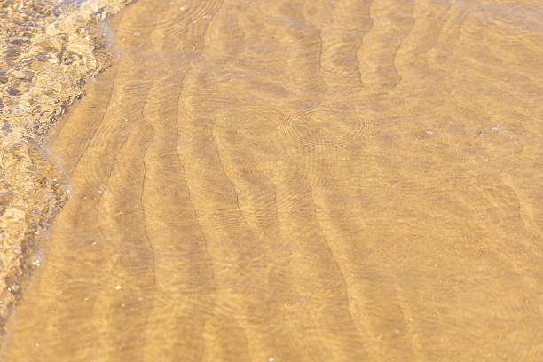 Experience the calm of golden waters gently shimmering under sunlight. A serene coastal view perfect for relaxation and connecting with nature's elegance