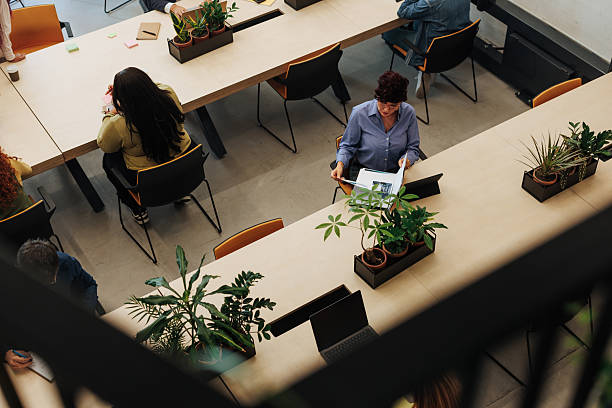 istock Coworkers sitting at shared desks working and reading in modern office with plants 2239973999