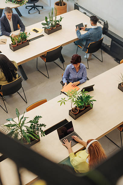 istock Coworkers using laptops and digital tablets in modern office with plants 2239974001