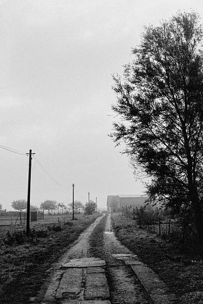A narrow dirt road stretches toward a distant barn under a pale, misty sky — telephone poles and bare trees line the way, quiet witnesses to forgotten days.