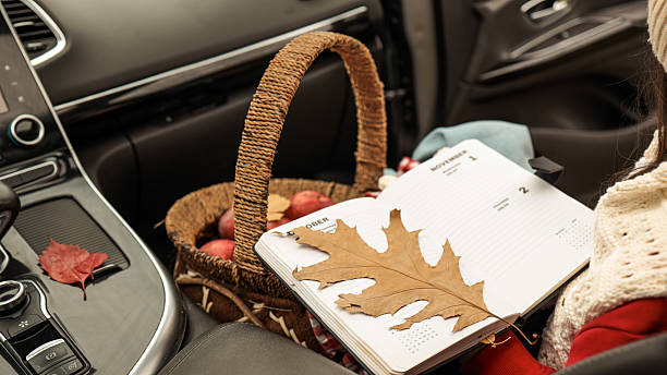 Autumn picnic in a car