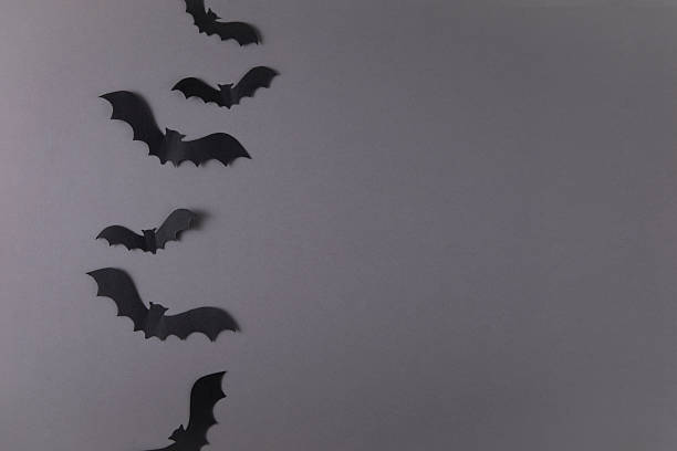 Halloween decorations, paper bats on gray colored background with copy space