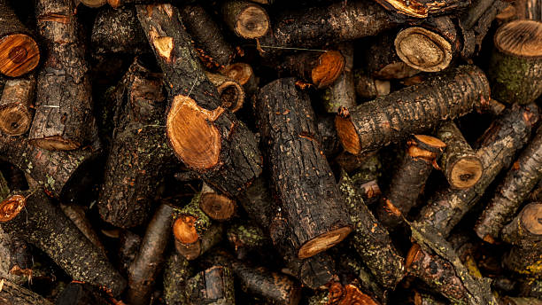 Pile of chopped firewood ready for winter.