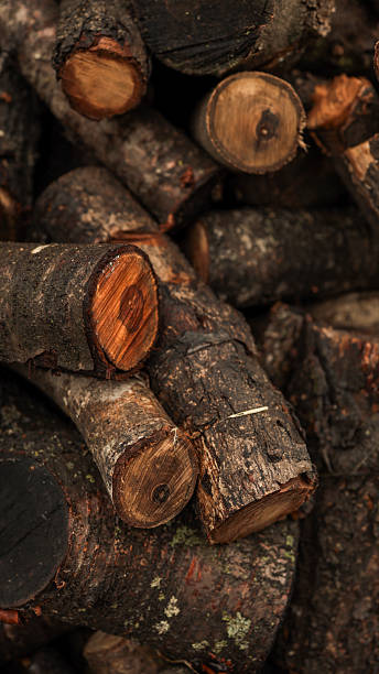 istock Pile of freshly cut logs 2239984808