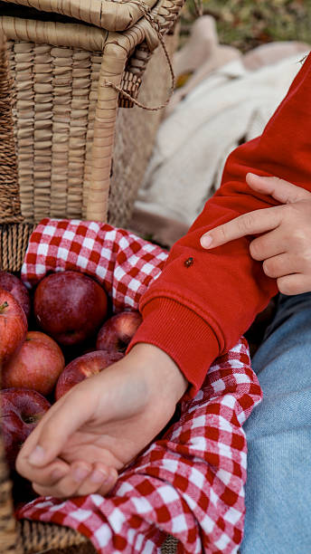 istock A person points at a ladybug on their red sleeve during a picnic. 2239984855