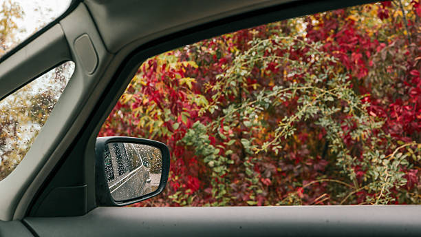 istock Autumn view from a car window 2239984857