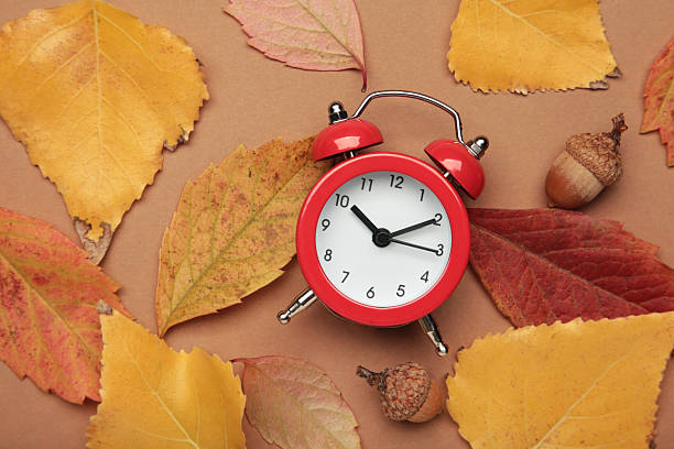 istock Red alarm clock, acorns and autumn leaves on brown background. Daylight saving time end 2239986742