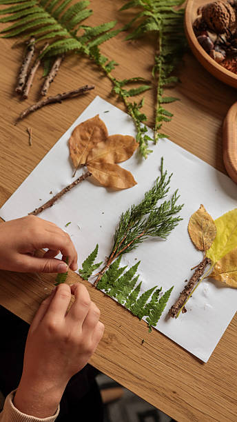 istock Child creating art with leaves and natural materials 2239989659
