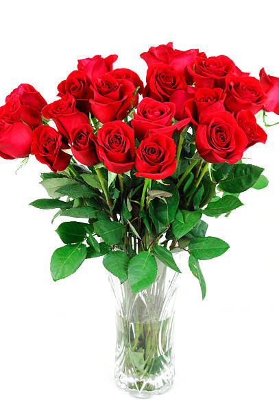 istock red roses in vase isolated on white background 2239989867