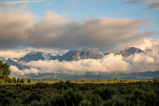 a beautiful autumn landscape in Grand Teton National Park Wyoming