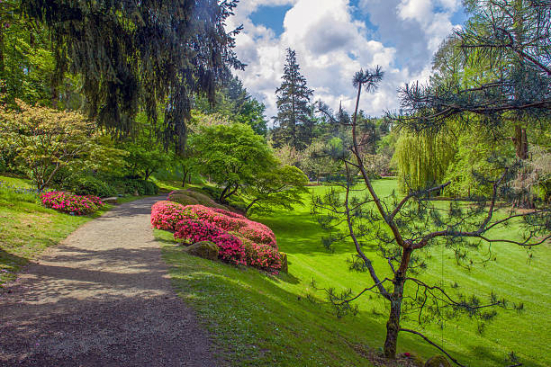 istock Awe  forest in Pays de La Loire 2239995905