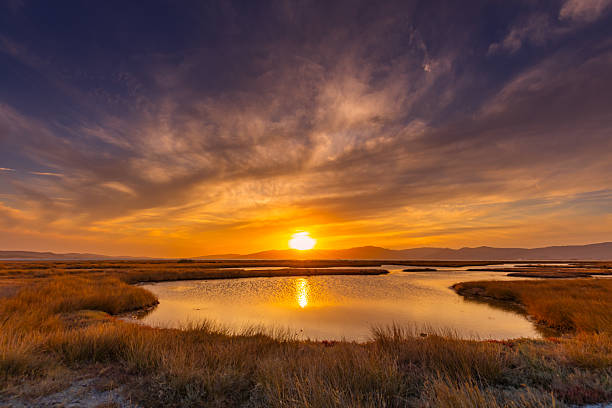 istock A picturesque seaside landscape at sunset 2239997763