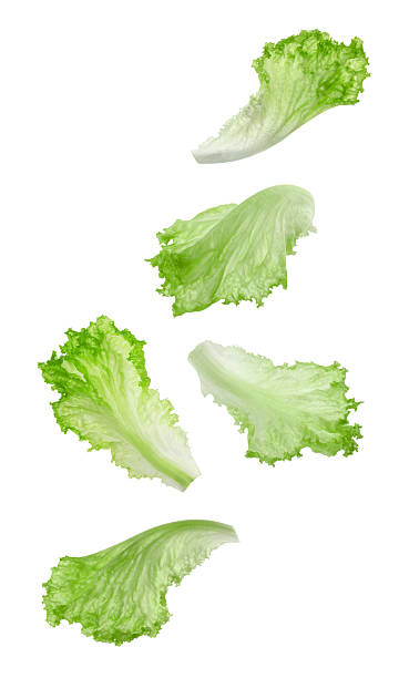 istock Green lettuce leaves in air on white background 2240005824
