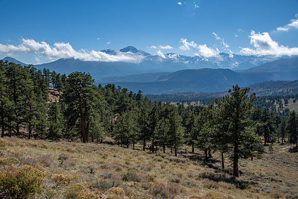 The view of the Trail Ridge Road at Rocky Mountain National Park
