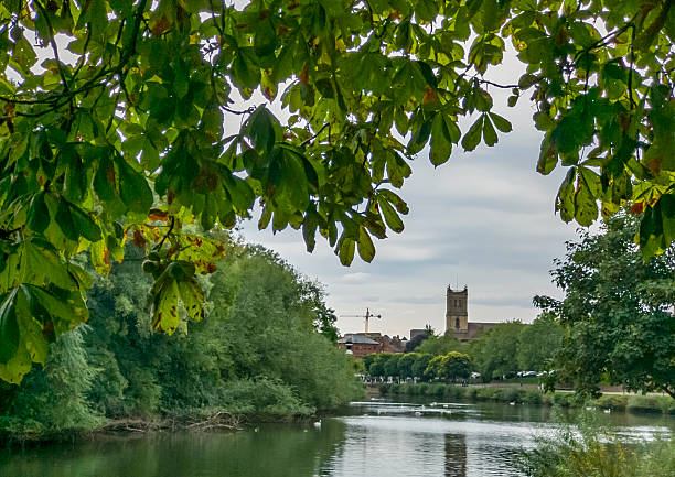 A mild afternoon in Worcestershire England,the Cathedral beyond,as sunset approaches,green leaves in foreground focus,rich in texture,in the beautiful Worcestershire countryside.