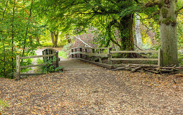 istock Ashridge Estate and  Woodlands 2240017433