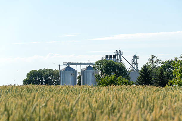 istock Silver grain silos and processing facility standing behind a green wheat field under a clear summer sky 2240018301
