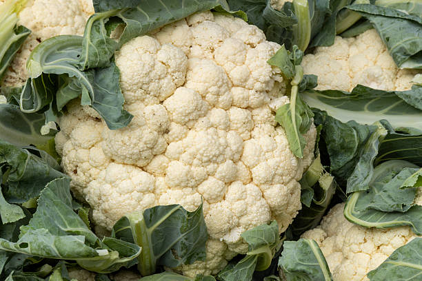 istock Farmers Market 2240018516