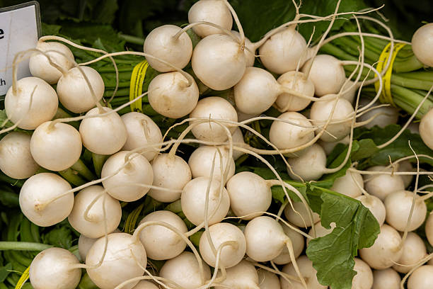 istock Farmers Market 2240018567
