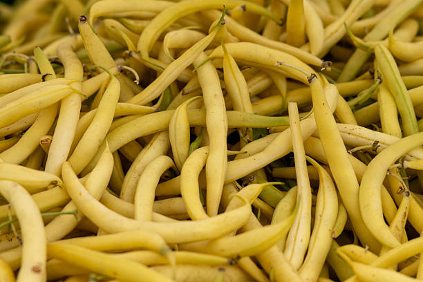 istock Farmers Market 2240018643