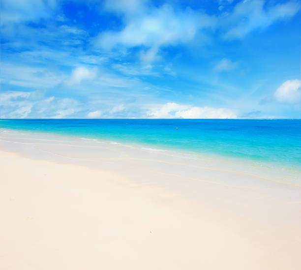 Coastal paradise showcasing calm azure ocean waves meeting the beige sandy beach under a vibrant blue sky spattered with clouds. The tranquil seascape evokes feelings of relaxation and summer serenity, ideal for vacation themes.